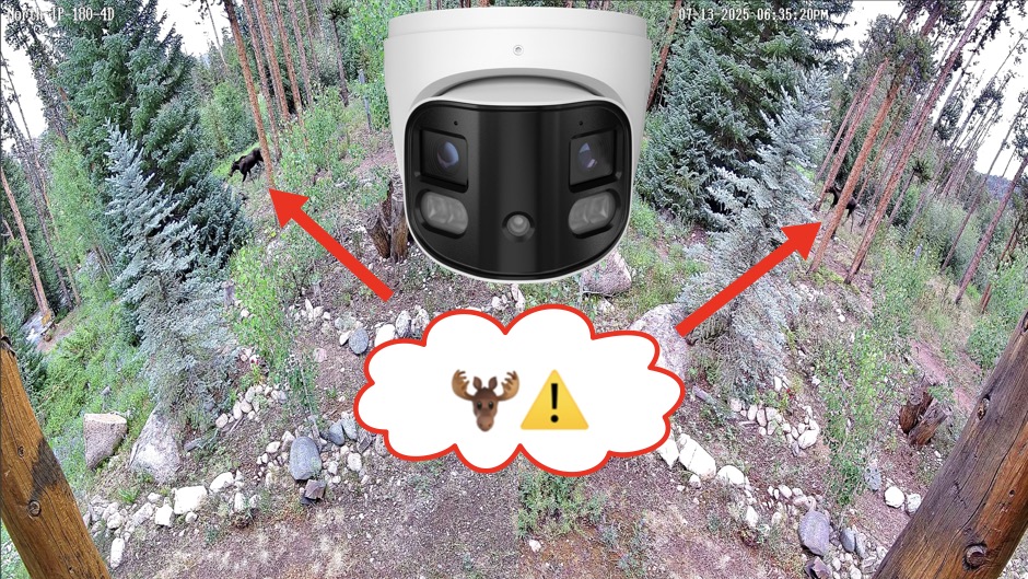 180 Degree Security Camera Records Moose